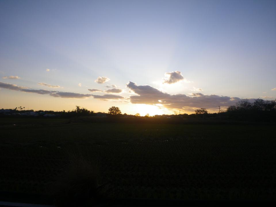 晩秋の夕暮れ 新着情報 新潟県立島見緑地 聖籠緑地