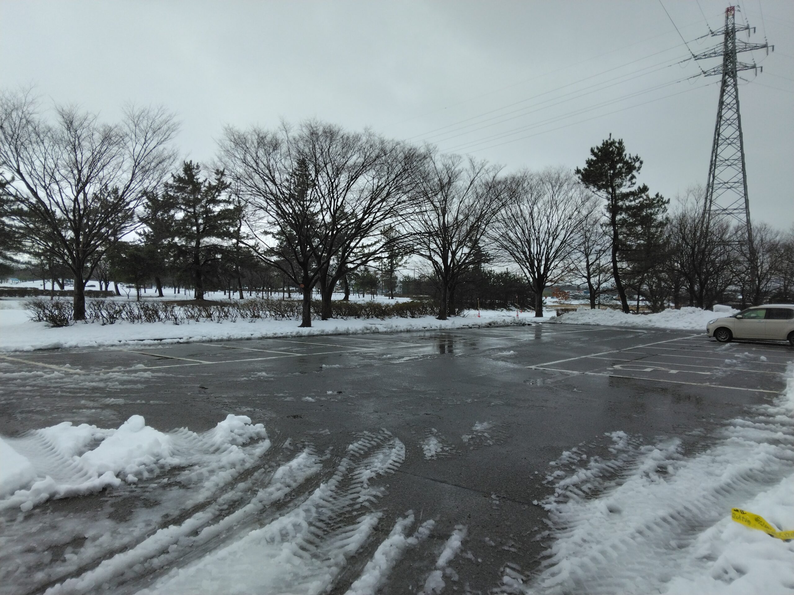公園内積雪情報のお知らせ - 新潟県立 島見緑地・聖籠緑地